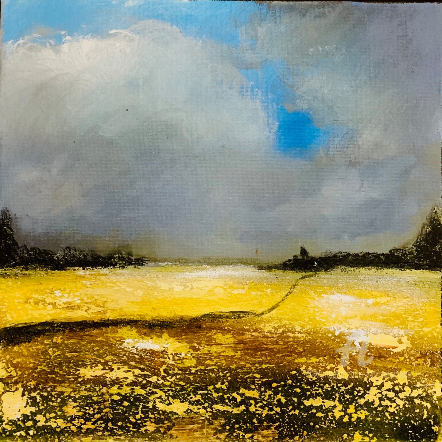 Daciana - Yellow field