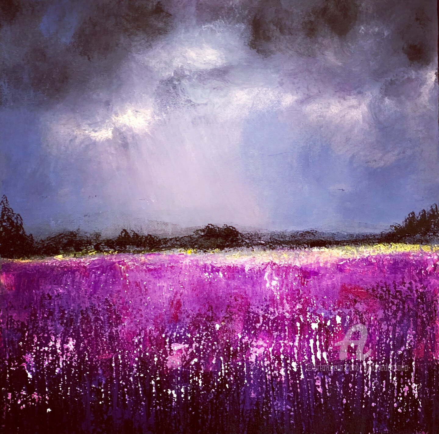 Daciana - Purple field