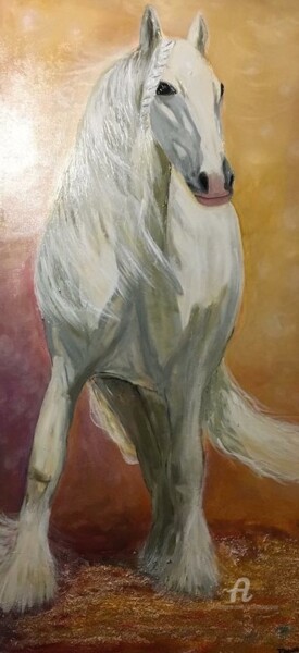 Irish Cob